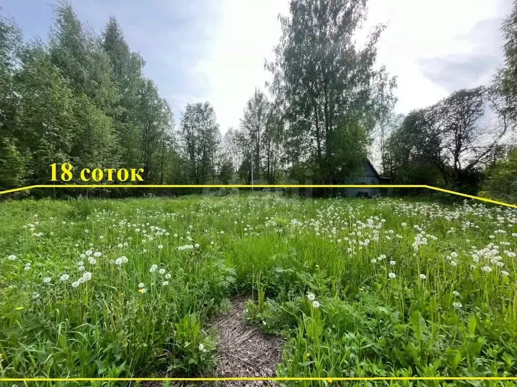 Участок в Вологодская область, Вологда Сохатый садоводческое ... - Фото 1