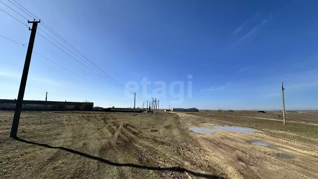 Участок в Крым, Черноморский район, Оленевское с/пос, с. Калиновка ул. ... - Фото 0
