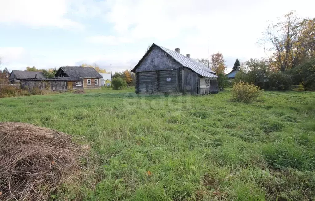Участок в Вологодская область, Шекснинский муниципальный округ, пос. ... - Фото 2
