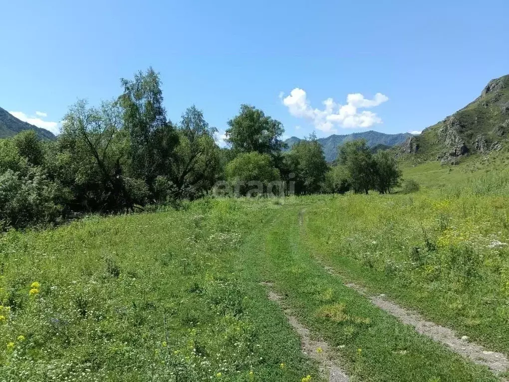 Участок в Алтай, Чемальский район, с. Эдиган ул. Подгорная (65.0 сот.) - Фото 0