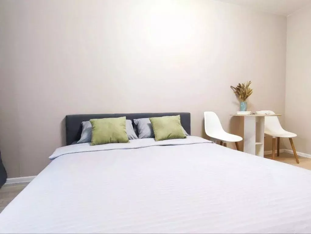 1-к кв. Татарстан, Набережные Челны ул. Раскольникова, 5В (25.0 м) - Фото 1