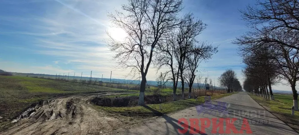 Участок в Краснодарский край, Крымск  (5.0 сот.) - Фото 0