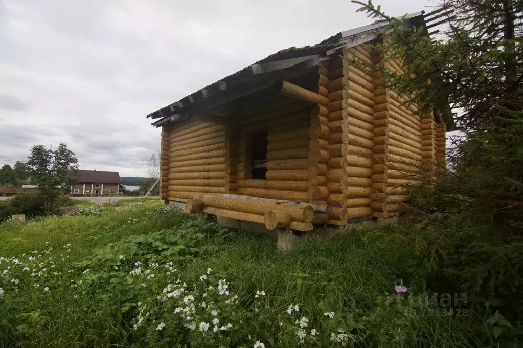 Участок в Ленинградская область, Сланцевский район, Старопольское ... - Фото 0