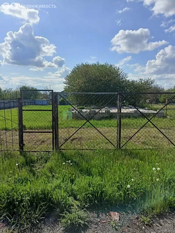 Участок в Белгород, садоводческое товарищество Фазенда (10 м) - Фото 0