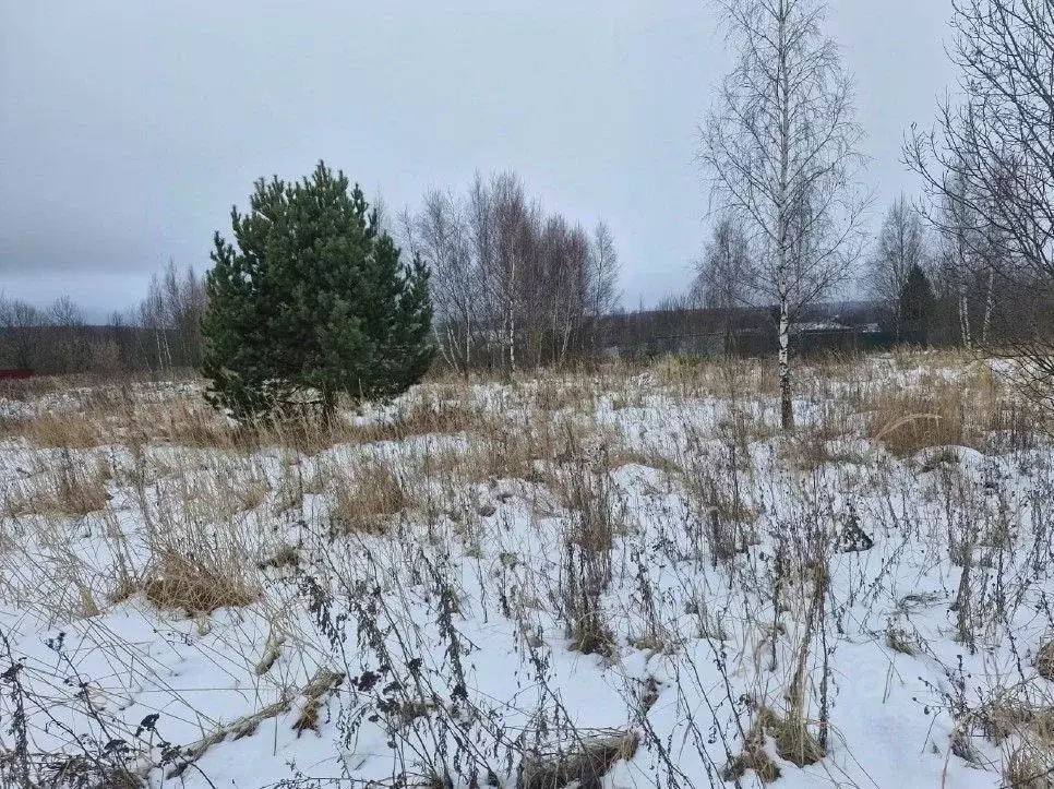 Участок в Московская область, Ступино городской округ, с. Хонятино ул. ... - Фото 0