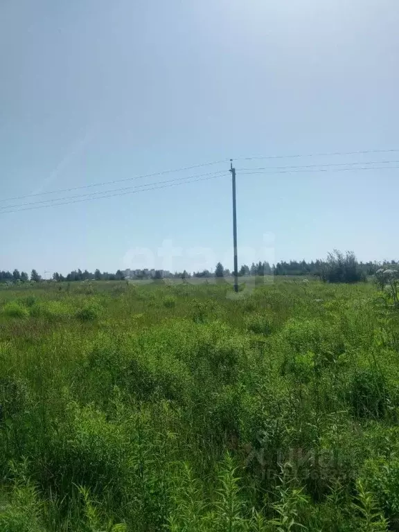 Участок в Псковская область, Псковский район, Завеличенская волость, ... - Фото 1