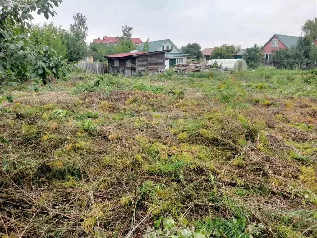 Участок в Нижегородская область, с. Дивеево  (9.0 сот.) - Фото 2
