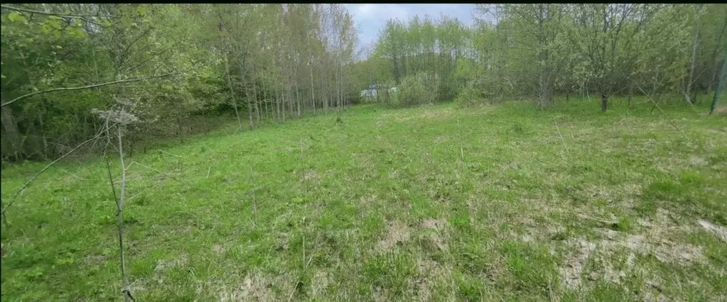 Участок в Московская область, Сергиево-Посадский городской округ, ... - Фото 2