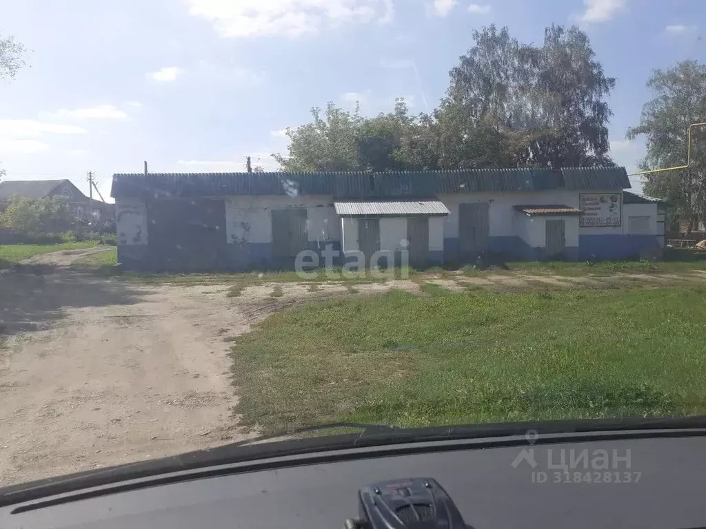 Торговая площадь в Мордовия, Ардатовский район, Тургенево рп ул. ... - Фото 1