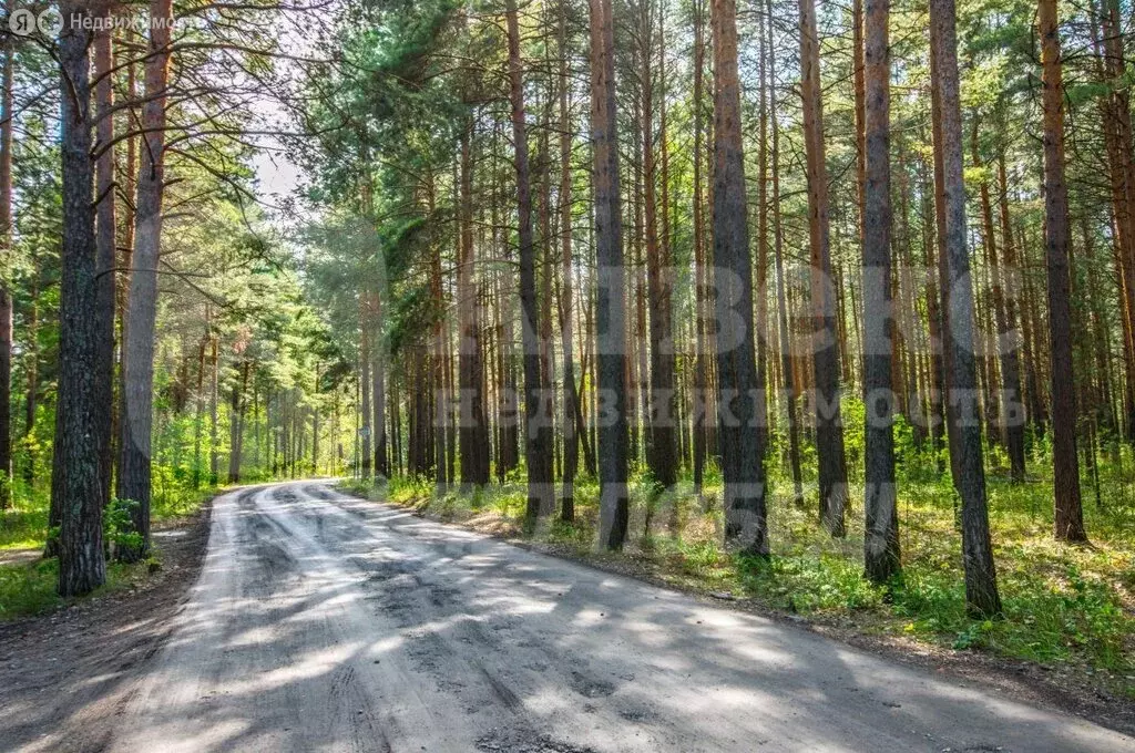 Участок в Тюменская область, Нижнетавдинский муниципальный округ, ТСН ... - Фото 1