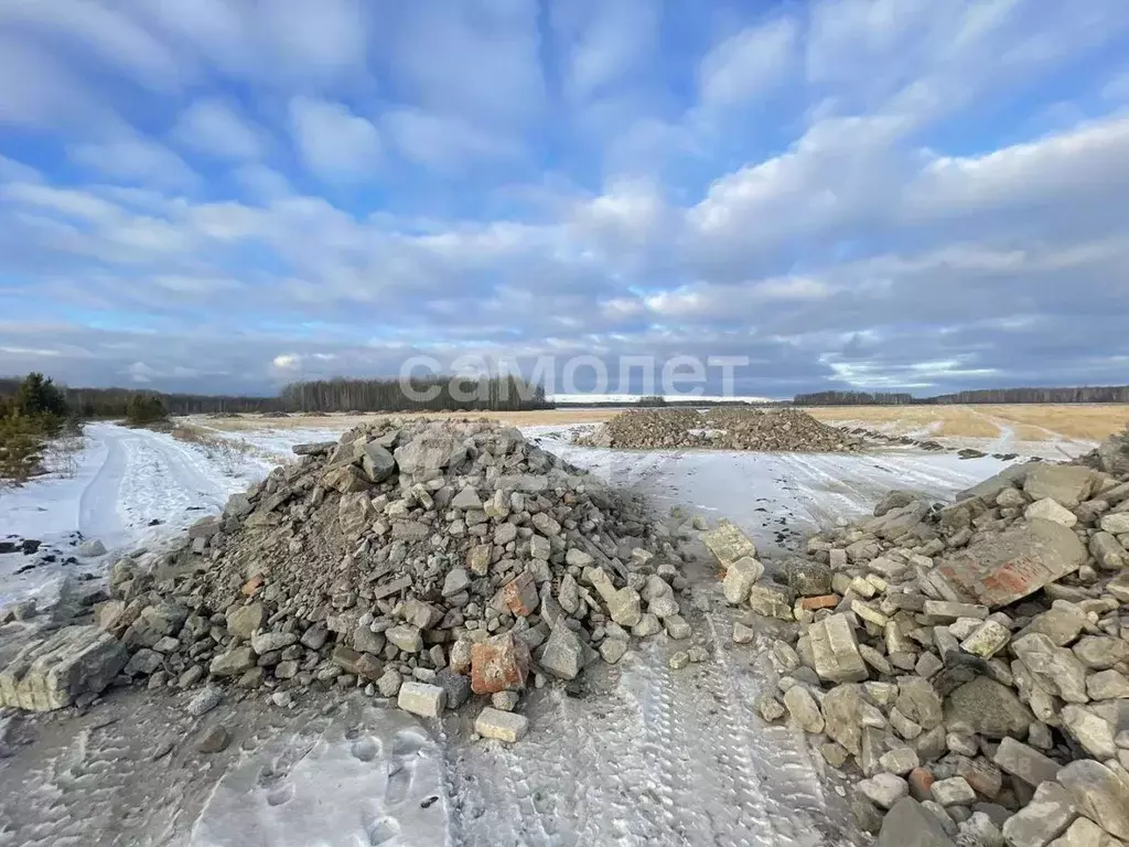 Участок в Тюменская область, Тюменский муниципальный округ, с. ... - Фото 1