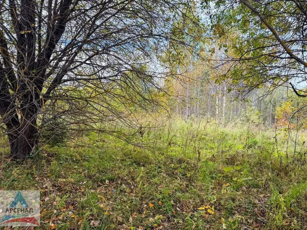 Участок в Ярославская область, Переславль-Залесский муниципальный ... - Фото 1