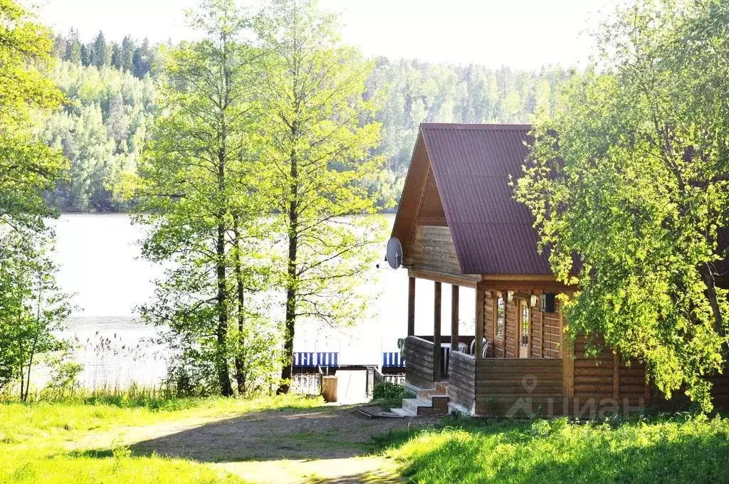 Дом в Ленинградская область, Выборгский район, Каменногорское ... - Фото 0