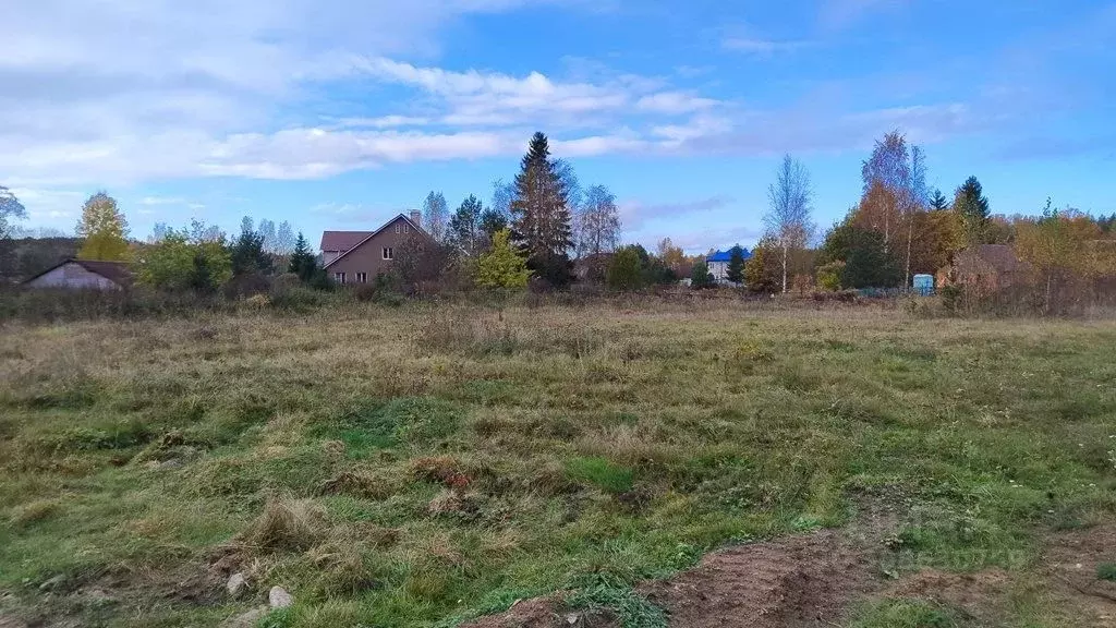 Участок в Ленинградская область, Всеволожский район, Дубровское ... - Фото 0