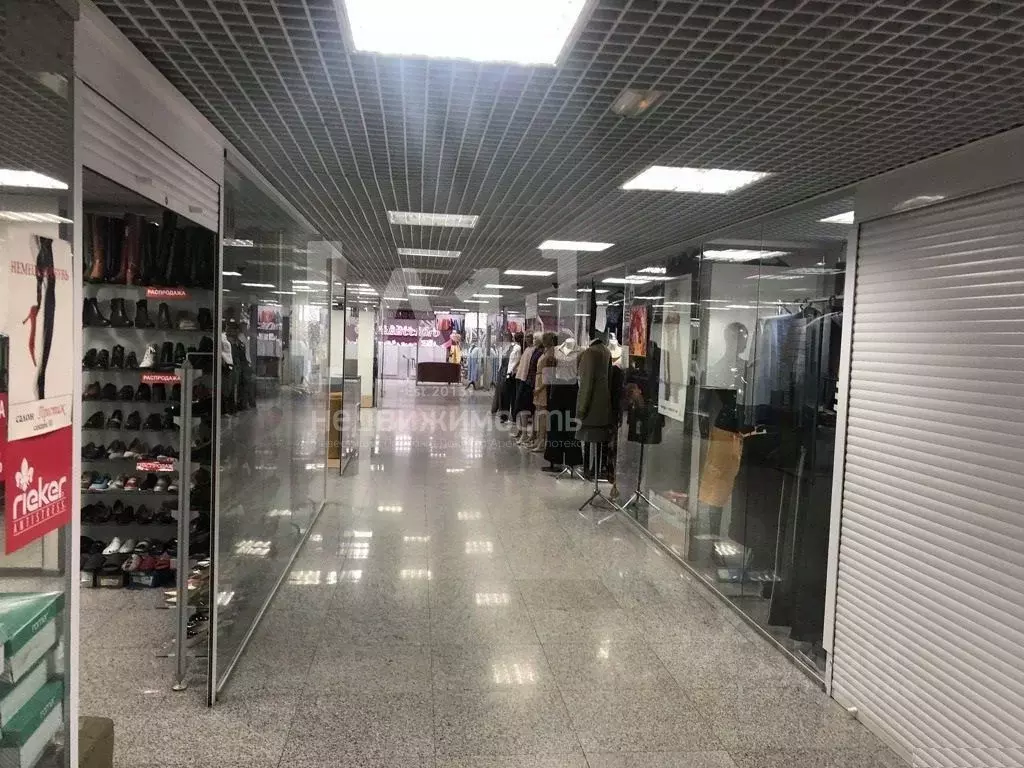 Торговая площадь в Челябинская область, Челябинск ул. Васенко, 96 (25 ... - Фото 2