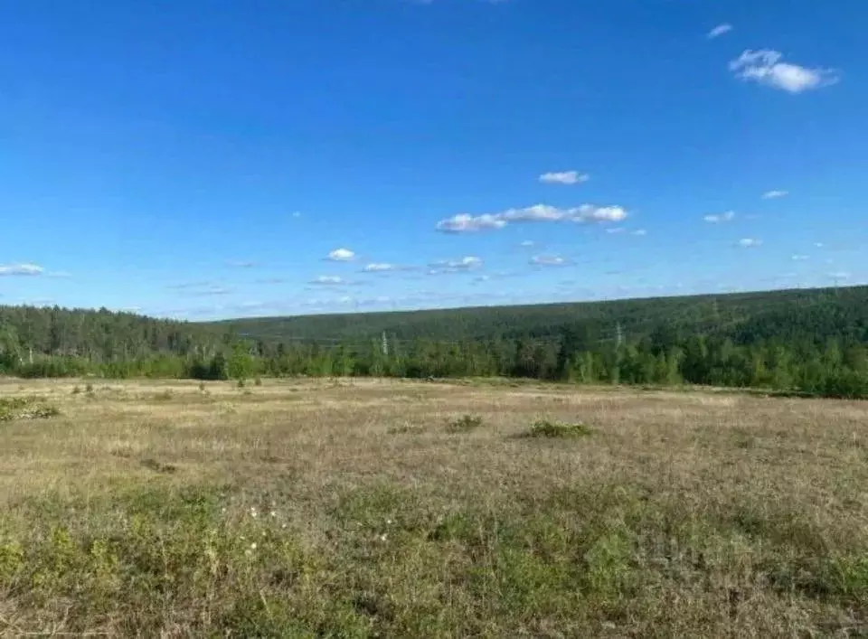 Участок в Саха (Якутия), Якутск городской округ, с. Хатассы  (1007.0 ... - Фото 0