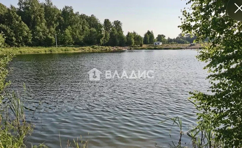 Участок в Владимирская область, Владимир Вишенка-1 СНТ, 1 (6.3 сот.) - Фото 2