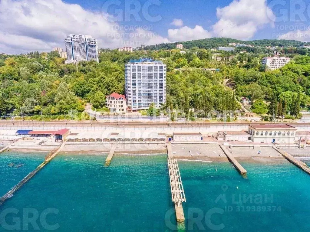 1-к кв. Краснодарский край, Сочи Курортный просп., 95/53 (29.0 м) - Фото 0