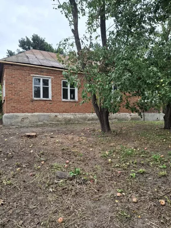 Дом в Тамбовская область, Сосновка рп ул. Пионерская, 16 (70 м) - Фото 1