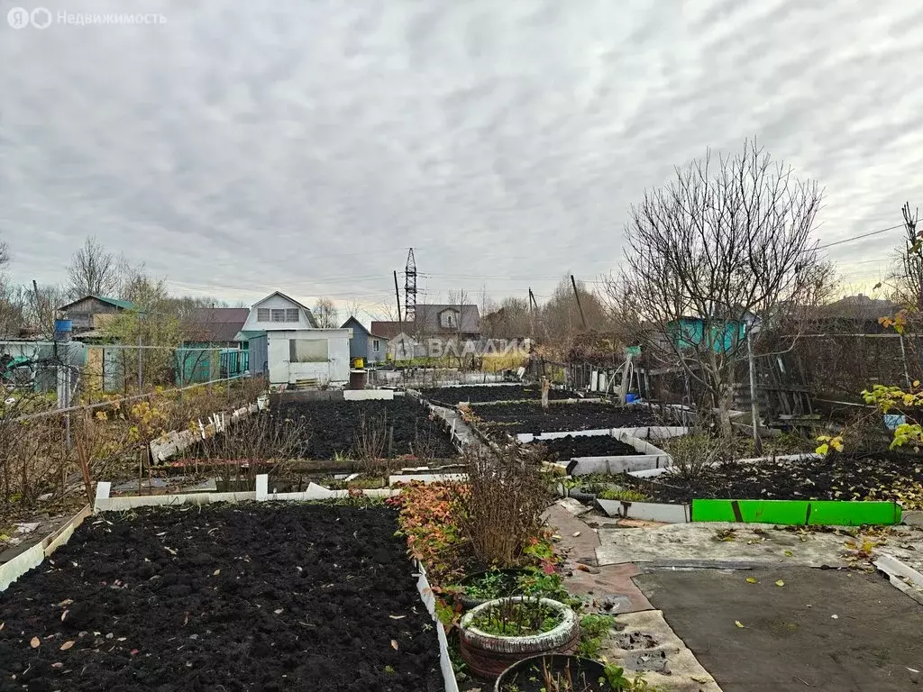 Участок в Пенза, садовое некоммерческое товарищество Казённый Сад, 435 ... - Фото 2