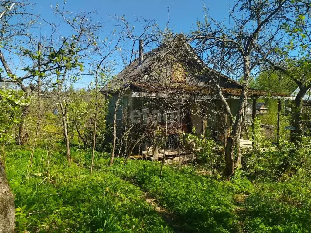 Участок в Ленинградская область, Киришский район, Кусинское с/пос, ... - Фото 0