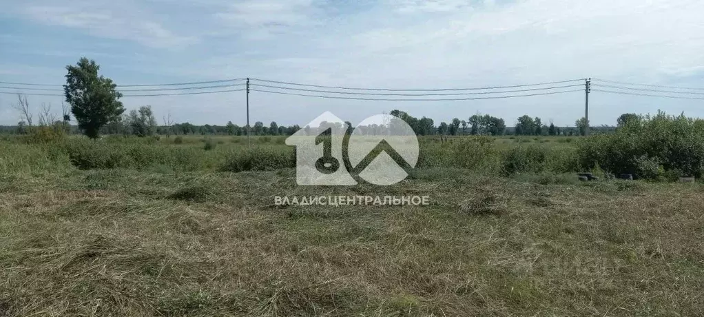 Участок в Новосибирская область, Коченевский район, Дружба-2 СНТ ул. ... - Фото 1