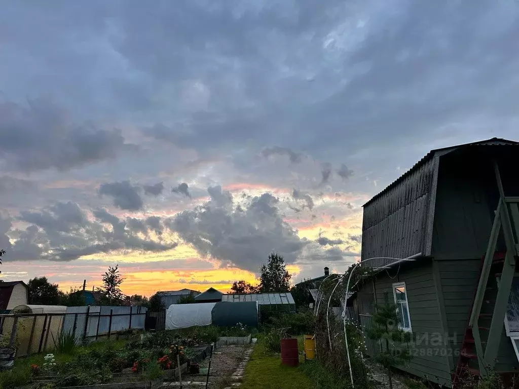 Дом в Еврейская автономная область, Смидовичский район, Победа СНТ  ... - Фото 2