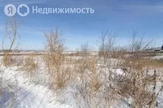 Участок в Ишим, проезд Сурикова (6.06 м) - Фото 2