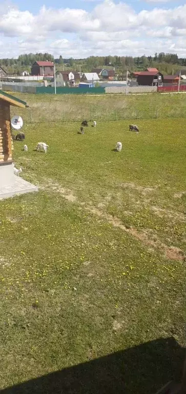 Дом 100 м на участке 8 га - Фото 1