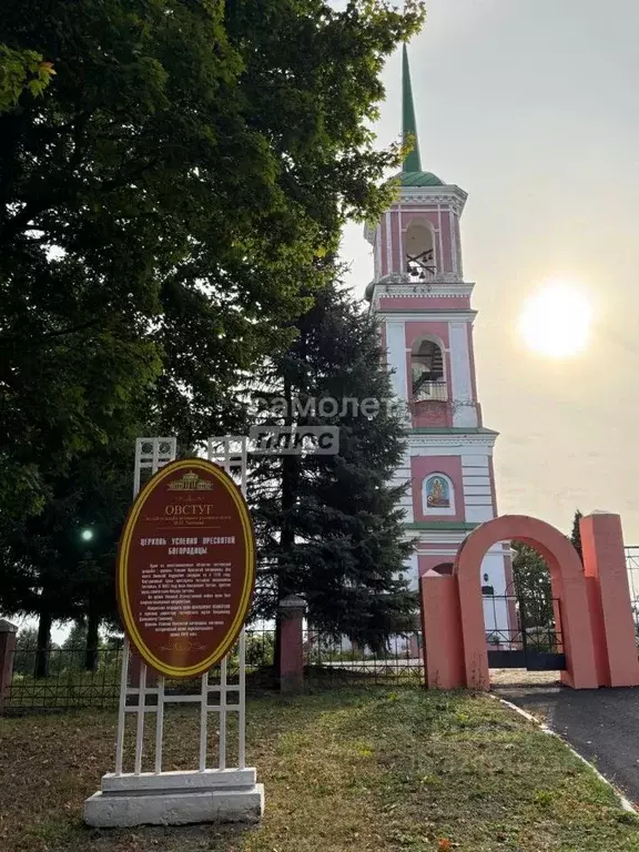 Участок в Брянская область, Жуковский муниципальный округ, с. Овстуг ... - Фото 1