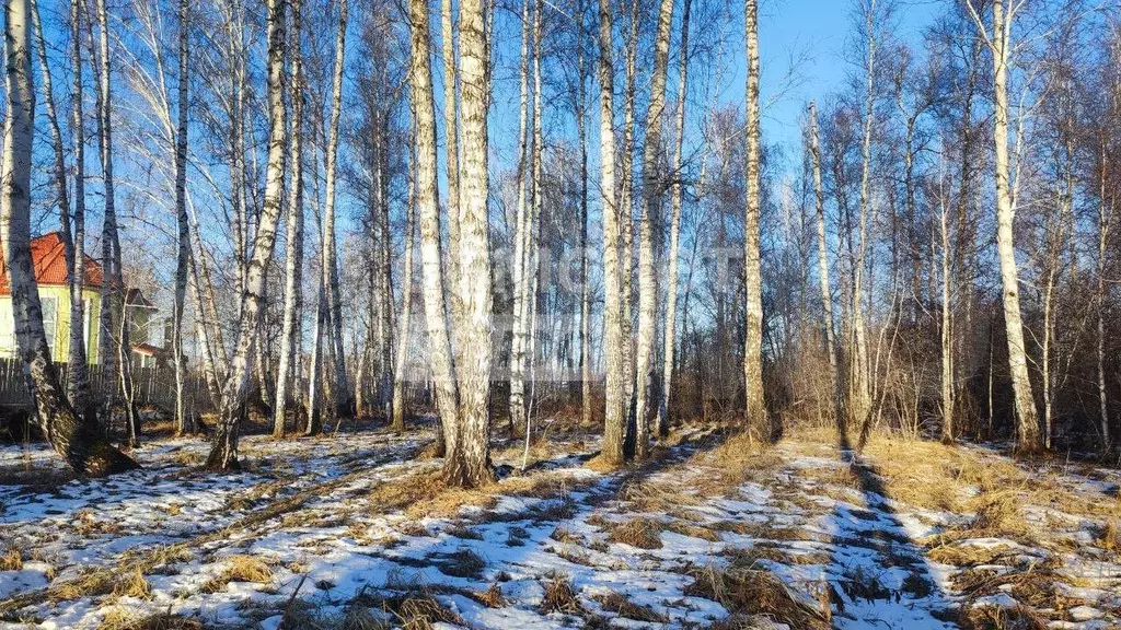Участок 5,3 сот. (ИЖС) - Фото 1
