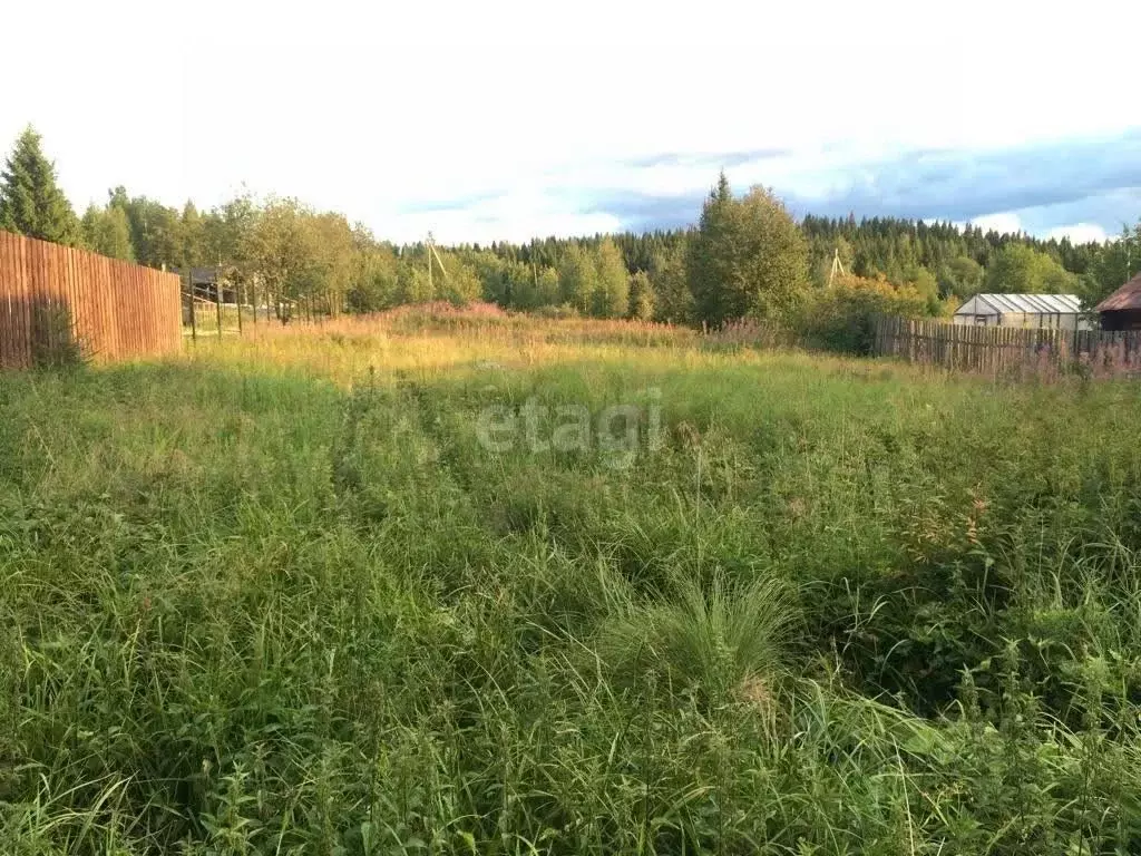 Участок в Свердловская область, Нижний Тагил городской округ, пос. ... - Фото 0