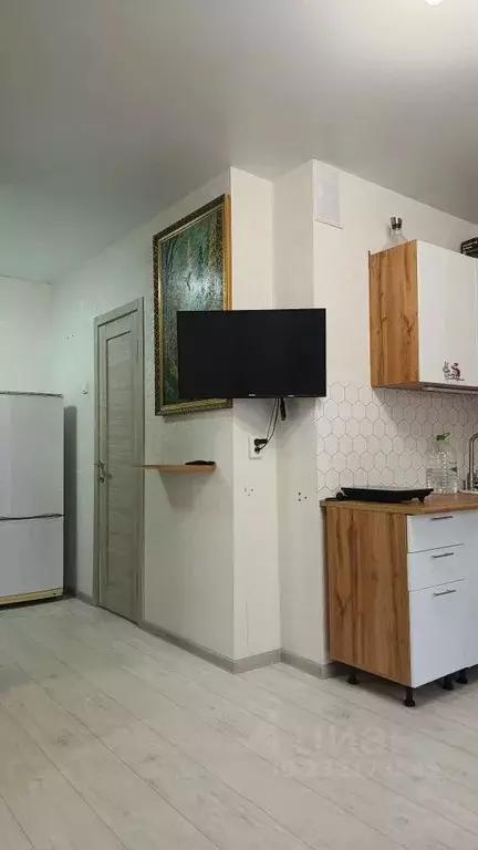 Студия Челябинская область, Сосновский муниципальный округ, пос. ... - Фото 2
