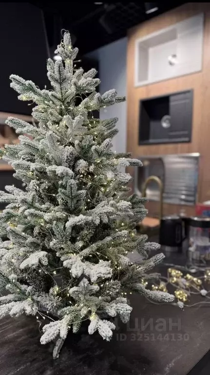 Офис в Свердловская область, Екатеринбург ул. Пехотинцев, 2В (104 м) - Фото 1