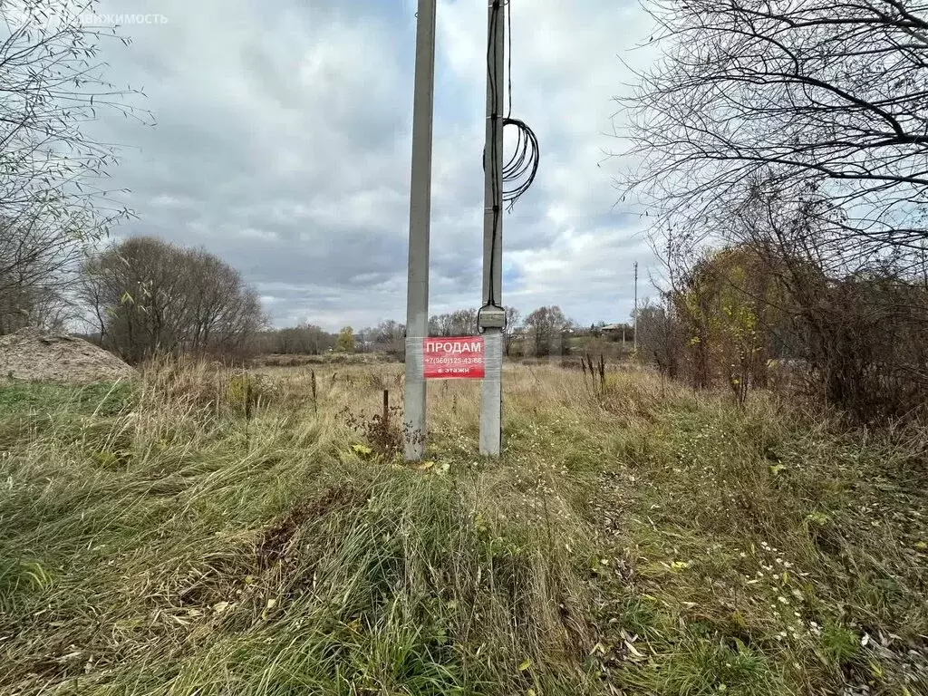 Участок в Новоживотинное, Дорожная улица (10 м) - Фото 1