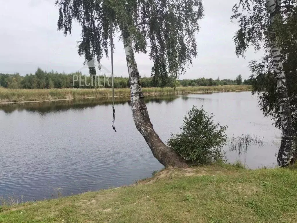 Участок в Московская область, Коломна городской округ, д. Андреевка  ... - Фото 0