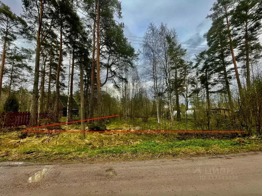 Участок в Ленинградская область, Приозерский район, Ларионовское ... - Фото 0