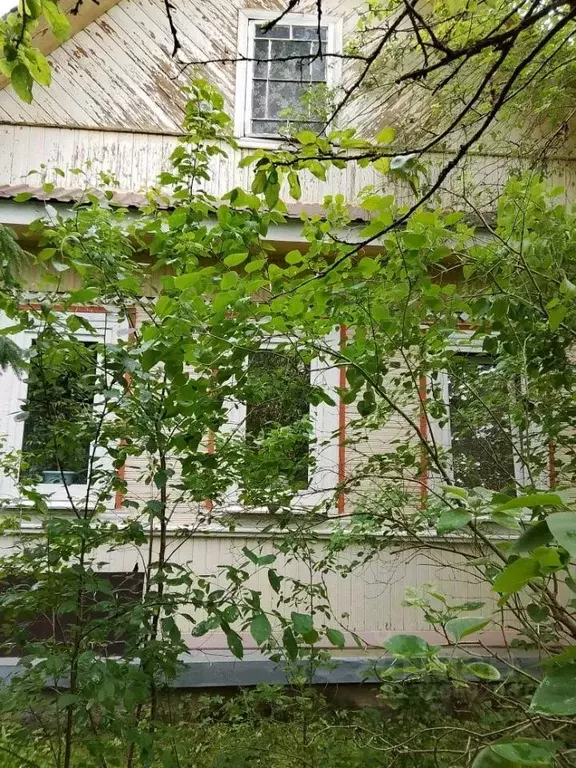 Дом в Ленинградская область, Гатчинский муниципальный округ, Дружная ... - Фото 2