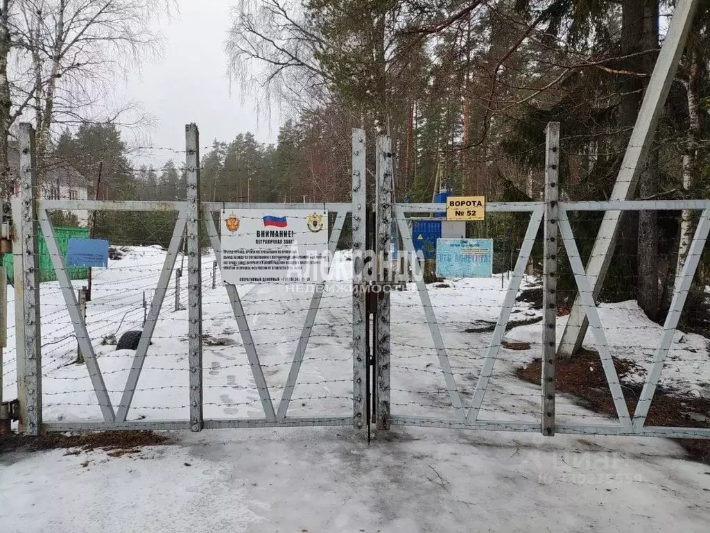 Участок в Ленинградская область, Выборгский район, Селезневское с/пос, ... - Фото 2