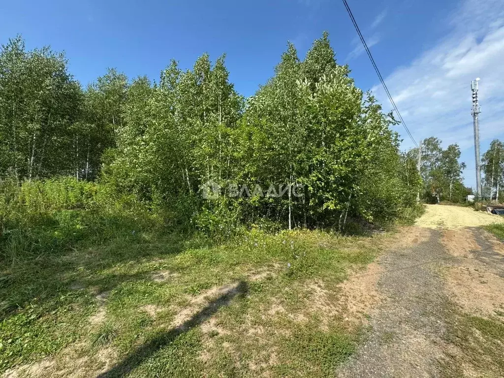 Участок в Пензенская область, Пензенский район, Алферьевский ... - Фото 2