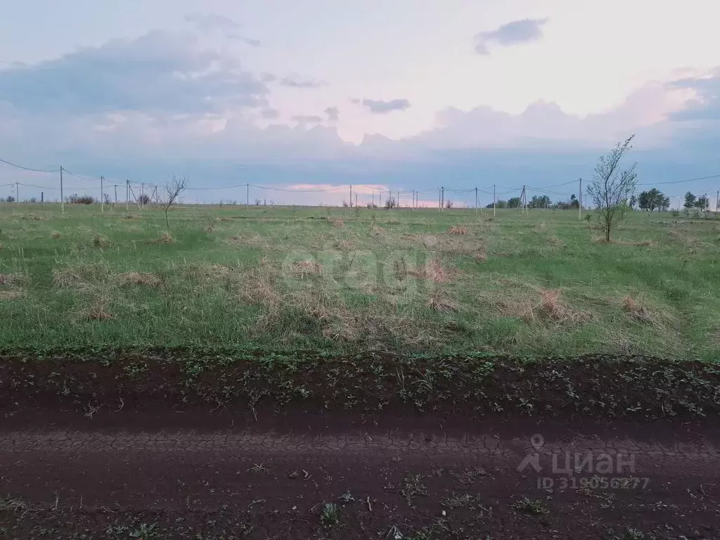 Участок в Саратовская область, Балашовский район, Хоперское ... - Фото 1