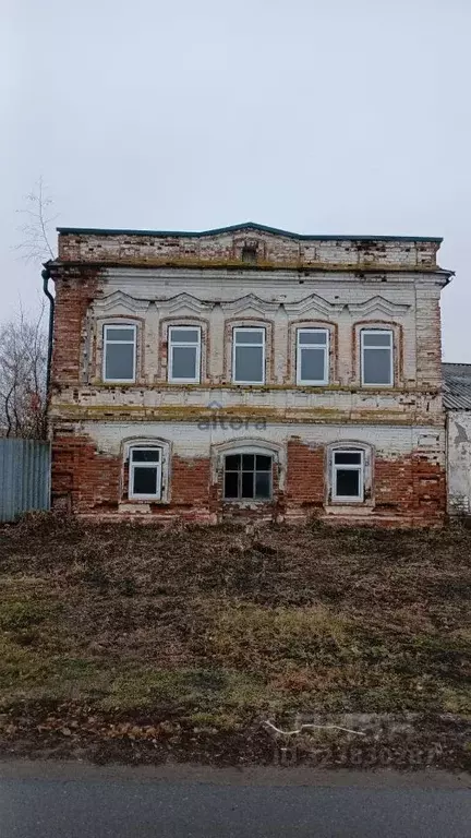 Помещение свободного назначения в Татарстан, Алексеевское пгт ул. ... - Фото 2