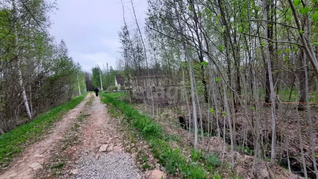 Участок в Новгородская область, Новгородский район, Трубичинское ... - Фото 0