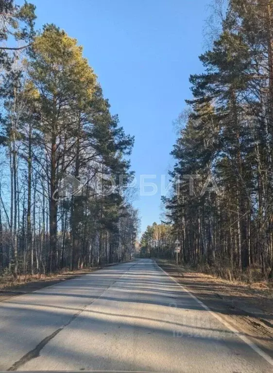Участок в Тюменская область, Нижнетавдинский район, Царицыно СНТ  (9.5 ... - Фото 0