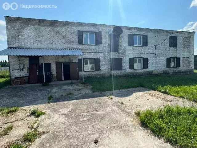 Помещение свободного назначения (243.3 м) - Фото 1