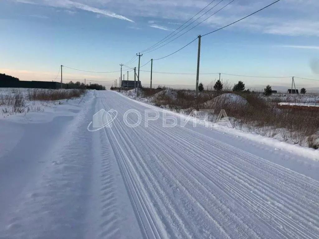 Участок в Тюменская область, Тюменский район, с. Борки  (359.0 сот.) - Фото 0