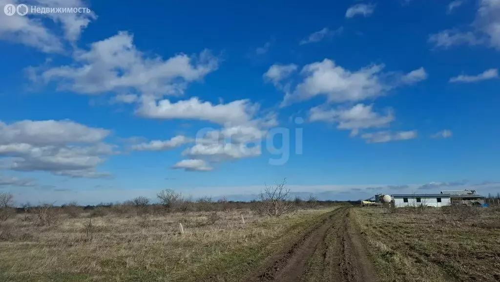 Участок в Золотое Поле, Полевая улица (381.67 м) - Фото 2