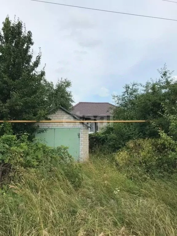 Дом в Воронежская область, Верхнехавский район, Углянское с/пос, пос. ... - Фото 1