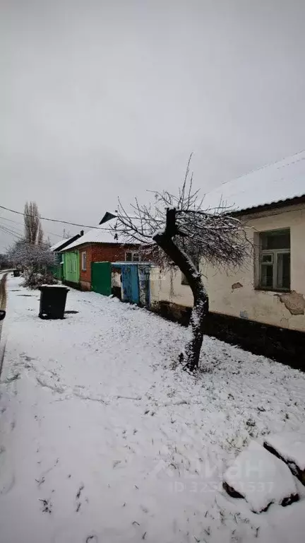 Дом в Воронежская область, Воронеж Ведугская ул., 81 (64 м) - Фото 1