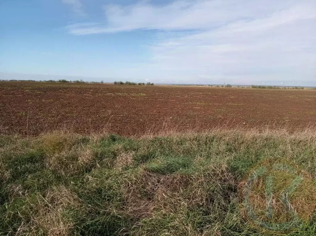 Участок в Крым, Раздольненский район, Новоселовское пгт  (970.0 сот.) - Фото 1
